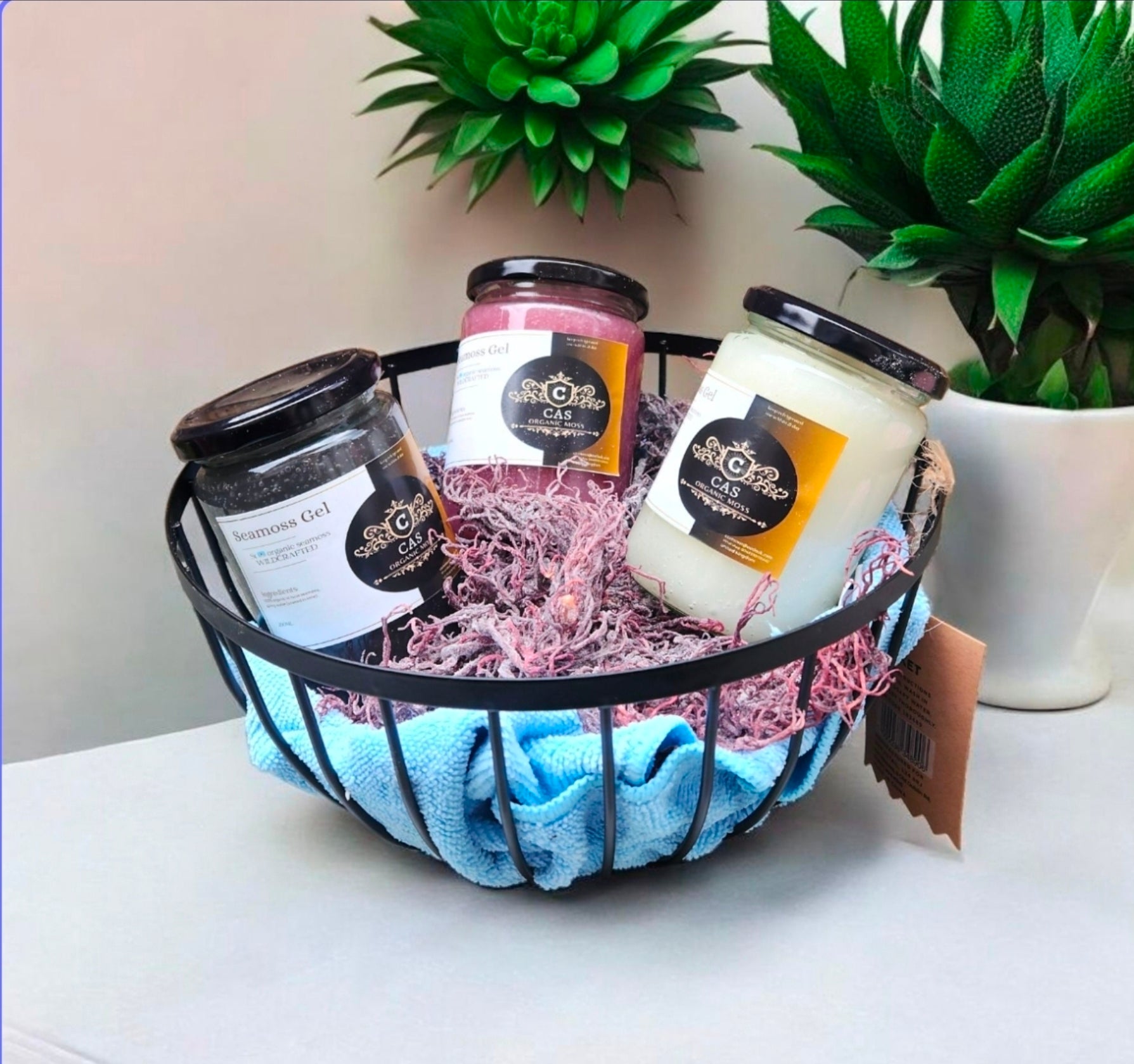 Starter Pack 3×250g Green, purple and gold wildcrafted organic seamoss