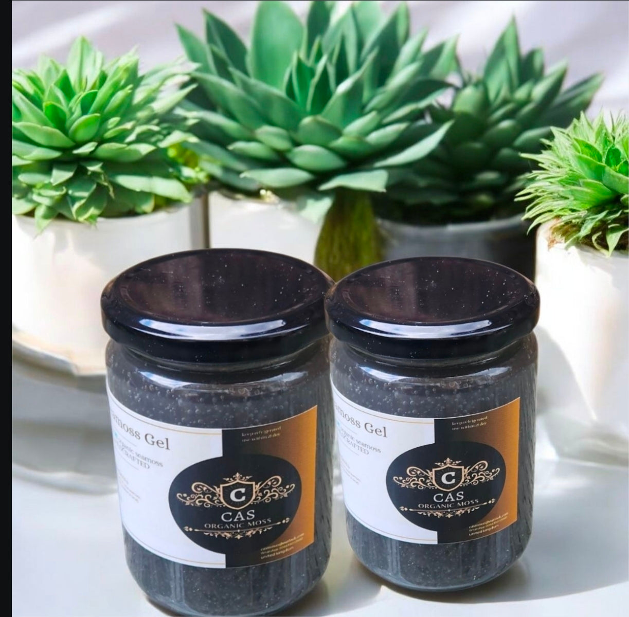 Couple pack 2×500g green wildcrafted organic seamoss