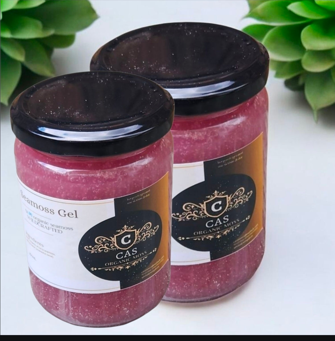 Couple pack 2×500g purple wildcrafted organic seamoss