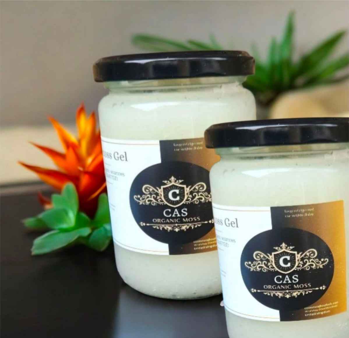 Couple pack 2×500g gold wildcrafted organic seamoss