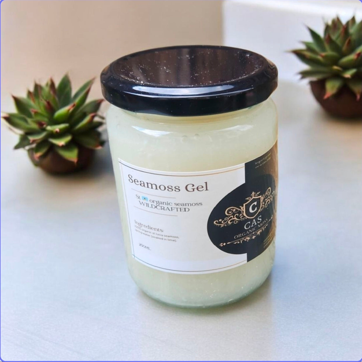 100% Organic wildcrafted Gold Sea Moss (250ml)